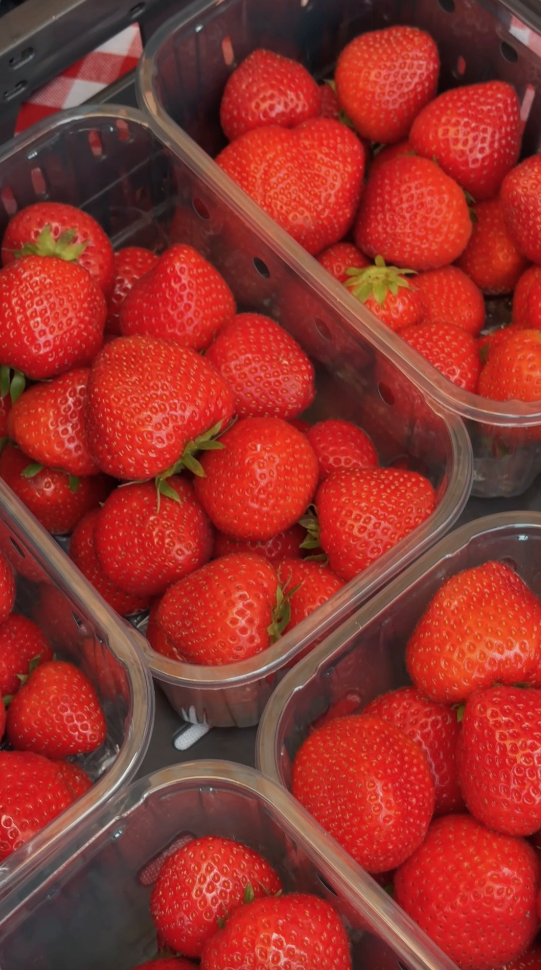 Aardbeien