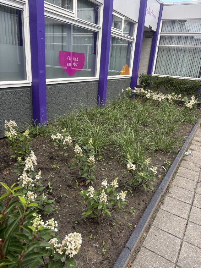 renovatie en vergroening talent 14