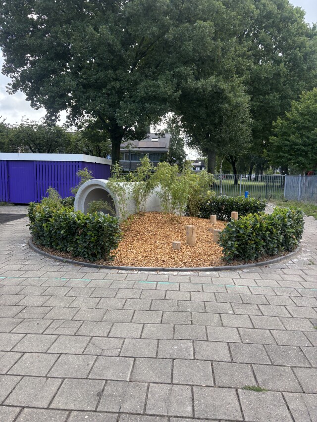 renovatie en vergroening talent 17